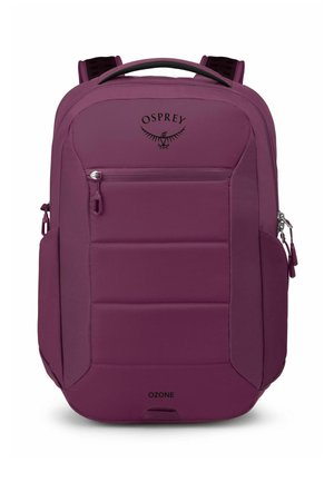 50 CM  - Sac de sport - moody burgundy