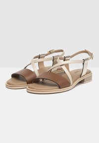 Sandali strappy marroni e beige con tacco flat, caratterizzati da una tomaia in pelle liscia e fibbia regolabile alla caviglia. Design con punta aperta.