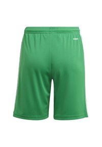 Groene sportshorts van lichtgewicht stof, met een elastische tailleband en witte zijstrepen, met een gladde textuur.