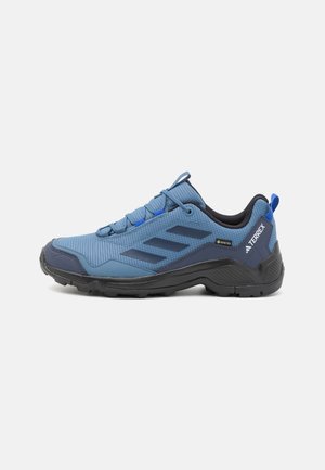 TERREX EASTRAIL GORE-TEX - Pantofi drumeție - steel/shadow navy/semi lucid blue