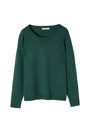 Pull en laine vert, encolure ronde, manches longues, bords côtelés et ourlet, texture lisse, couleur unie sans motifs ni accents.