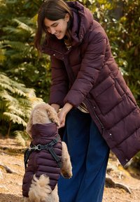 Bordeauxkleurige pufferjas met capuchon, geborduurd ontwerp en ritsluiting; persoon interacteert met een vergelijkbaar gekleed klein hondje in een natuurlijke omgeving.