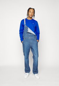 Tommy Jeans REGULAR C NECK - Camisola - blue