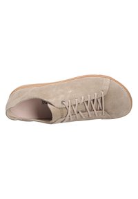 Baskets en daim beige avec un bout arrondi, semelle en caoutchouc plate et lacets plats. Design minimaliste avec des détails de couture subtils.
