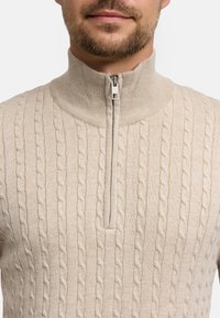 Beżowy sweter z dzianiny w splot warkoczowy, z wysokim kołnierzem i pół-zamkiem. Teksturowany wzór charakteryzuje się wypukłymi, splecionymi warkoczami dla dodatkowego efektu.
