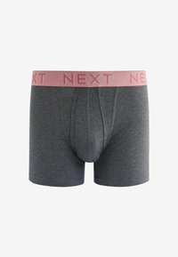 Next A FRONTS 10 PACK - Boxer alsónadrág - blue grey pink