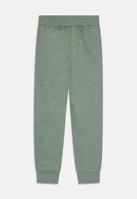 adidas Originals PANTS JUNIOR UNISEX - Tepláky - silver green