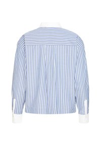 Blauw gestreept katoenen shirt met een witte kraag, lange mouwen en een ontspannen pasvorm. Beschikt over verticale strepen en knoopmanchetten. Achteraanzicht weergegeven.