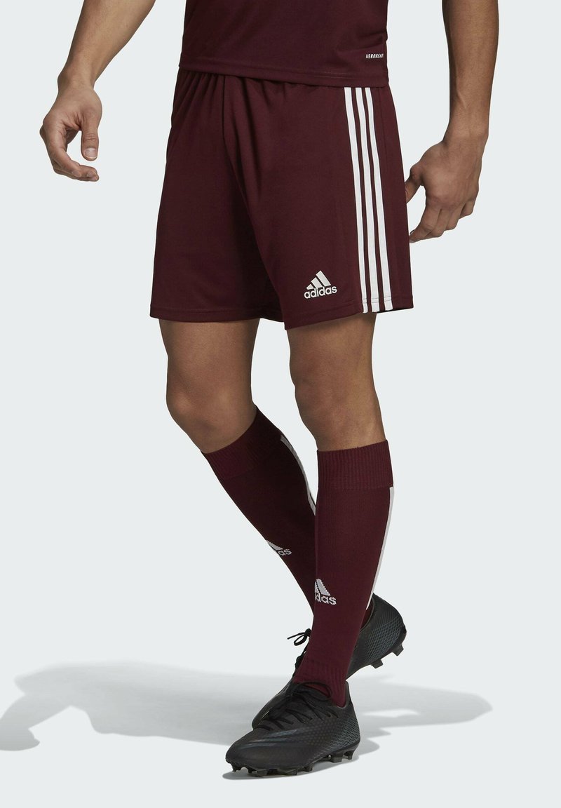 adidas Performance SQUADRA 21 SHORTS - Kurze Sporthose - red