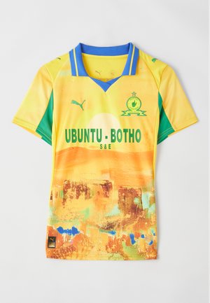 Camisa de futebol amarela e verde com colarinho azul. Apresenta "UBUNTU - BOTO" em preto, padrões abstratos e um logo da Puma na manga esquerda.
