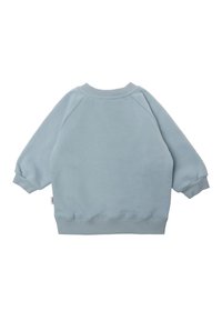Helles blaues Sweatshirt mit Rundhalsausschnitt, Raglanärmel und gerippten Bündchen. Weiche Textur und entspannter Schnitt. Keine auffälligen Muster oder Akzente.