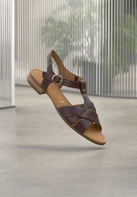 Δεν επιλέχθηκε, sattel/rame