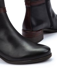 Botas de tobillo de cuero negro con punta afilada, acentuadas por una banda de cuero marrón, cremallera lateral y un tacón bajo apilado. Textura suave.