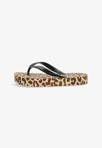 Seleccionado, brown