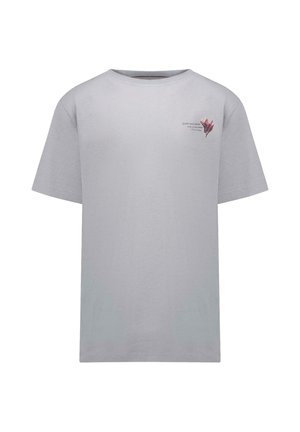 Cars Jeans, T-SHIRT COPES JR. - T-shirt print - mid grey