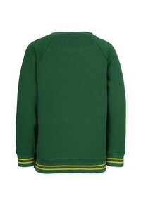 Grön sweatshirt med lång ärm, ribbade manschetter och nederkant. Har gula ränder vid manschetterna. Slät tyg, rundad halsringning. Bakvy.