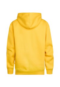 Felpa gialla con cappuccio e maniche lunghe, realizzata in un tessuto morbido. Presenta una cucitura centrale sul retro e polsini e fondo a costine.