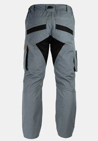 FORSBERG Cargobroek - gray