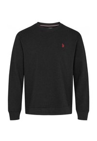 Svart sweatshirt i mjukt material med rund hals, långa ärmar och en liten röd logotyp på bröstet. Platt nederkant och manschetter.