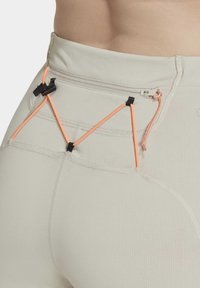 adidas Performance Leggings - aluminium   aluminium
