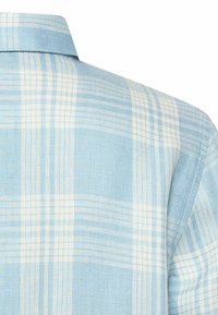 Light blue and white plaid fabric with folded collar detail, showing upper back and shoulder of a shirt.