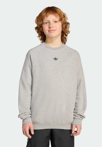 Šedá mikina s okrúhlym výstrihom a raglánovými rukávmi. Obsahuje malé čierne logo na hrudi. Mäkká tkanina a voľný strih.