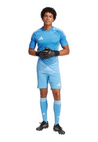 Lichtblauwe voetbaloutfit met korte mouwen, met witte strepen en het Adidas-logo. Zwarte keepershandschoenen, zwarte voetbalschoenen en blauwe sokken.