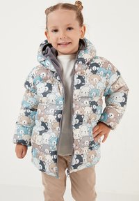 LELA REGULAR FIT - Zimska jakna - beige