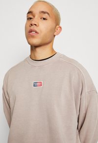 Tommy Jeans SKATER TIMELESS CREW - Mikina - brandons stone