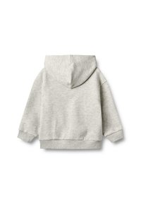Grijze hoodie met een zachte textuur, met een relaxte pasvorm, lange mouwen en een kangoeroezak. Achteraanzicht weergegeven.