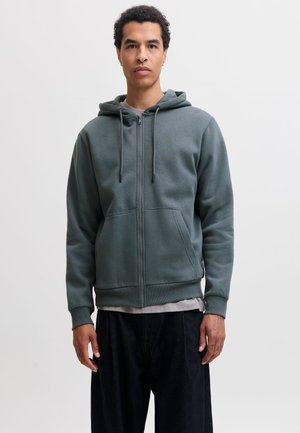 Jack & Jones, JJEBRADLEY ZIP HOOD - Sweat zippé - turbulence
