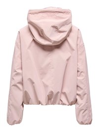 Veste à capuche rose clair avec manches longues, ourlet et poignets élastiques, vue de dos sur fond blanc.