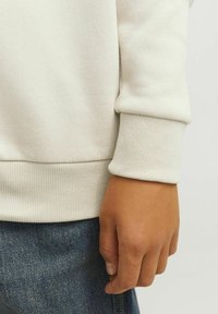 Jack & Jones Junior LUKE MNI - Džemperis ar kapuci - moonbeam
