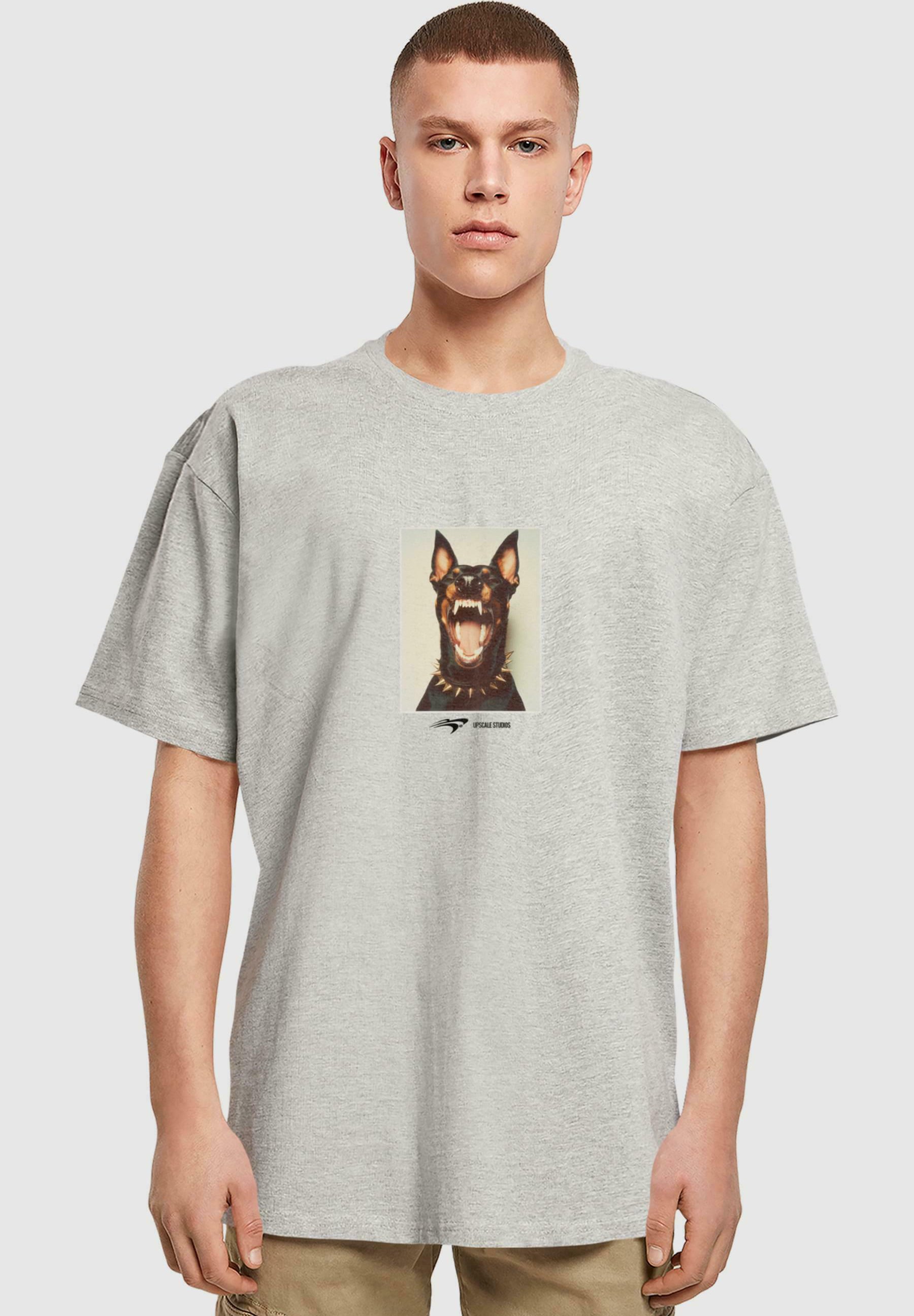 Upscale by Mister Tee Print T-shirt grey Zalando