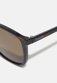 Polaroid Sunglasses - havana