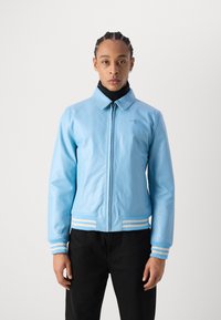 Schott STRIPE - Chaquetas bomber - sky/ecru