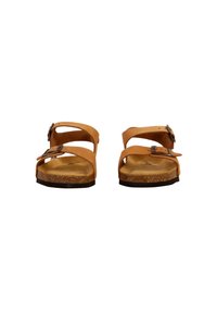 PLAKTON LOUIS - Chaussures premiers pas - marron