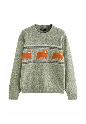 Žalias megztinis su apvalia iškirpte, tekstūruota medžiaga ir oranžiniu gyvūnų raštu per krūtinę. Raukšlėti rankogaliai ir apatinis kraštas.