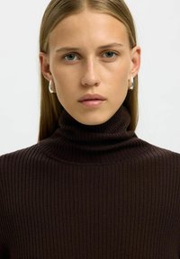 Rjav žametni pulover s povišanim ovratnikom, ki ima mehak občutek in prilega telo. Model nosi srebrne obročaste uhane.