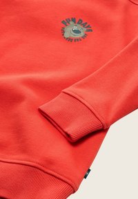 Roter Baumwollsweatshirt mit gerippten Bündchen und Saum. Mit einem Grafikdesign eines Bären und dem Text "FUN DAYS" in Grün und Schwarz.