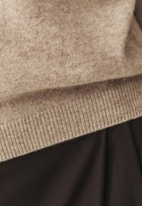 PRESLEY - Džemperis - beige melange