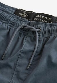 Next UTILITY - REGULAR FIT - Shorts - blue