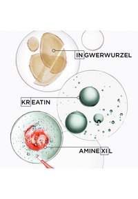 Miniatyrbild 6
