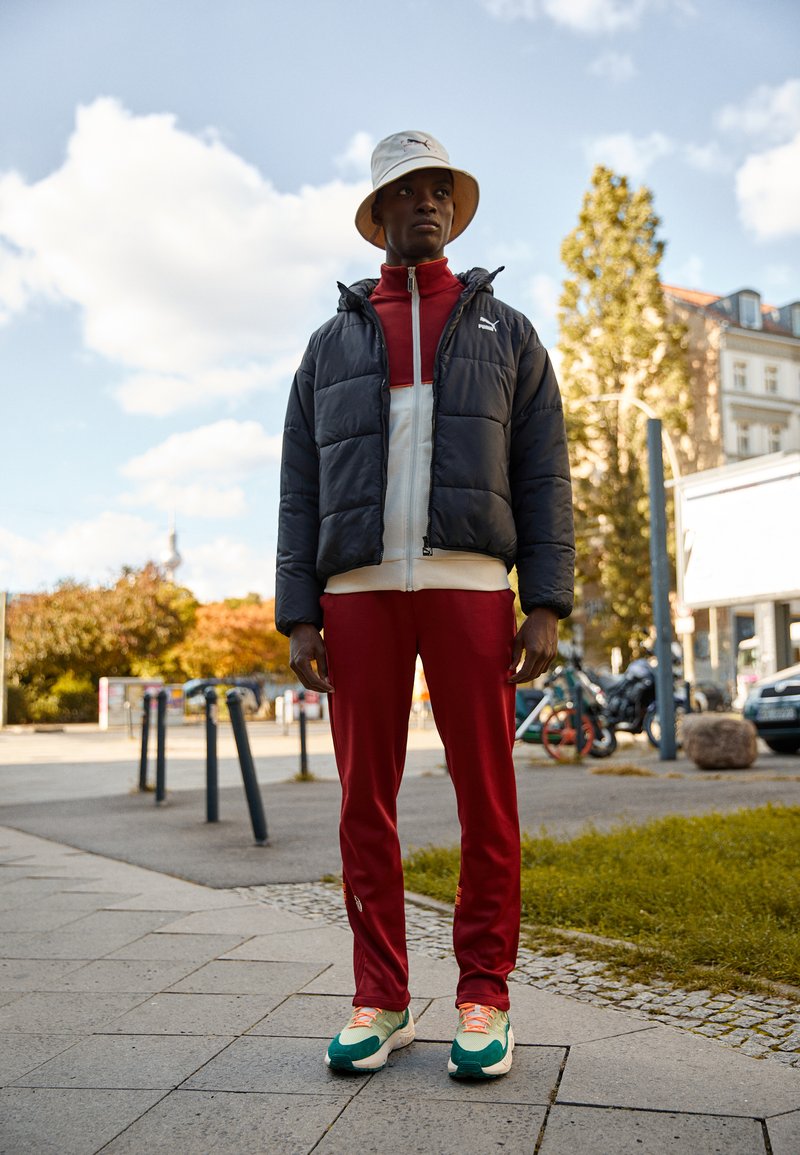 Puma CLASSICS HOODED PADDED JACKET - Winter jacket - black - Zalando.de