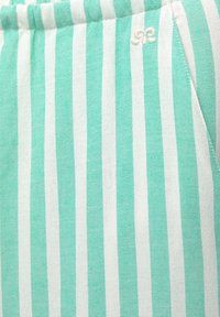 Lätta tygshorts med växelvis mintgröna och vita vertikala ränder, med en liten broderad logotyp i det övre hörnet.