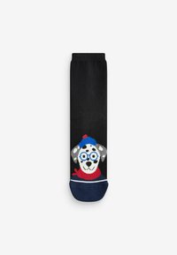 Next 5 PACK  - REGULAR FIT - Calze - fashion dogs