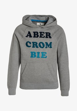 Abercrombie & Fitch Jersey con capucha - light grey