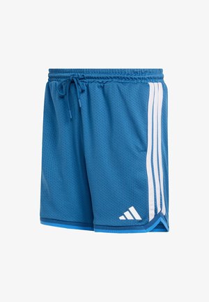 Pantaloncini sportivi in rete blu con una cintura elastica, cordoncino e dettagli bianchi a tre strisce sui lati. Presentano un logo triangolare sull'orlo.