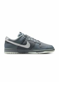 Scarpa Nike bassa grigia con logo Swoosh bianco, lacci e collarino imbottito, vista di lato su sfondo bianco.
