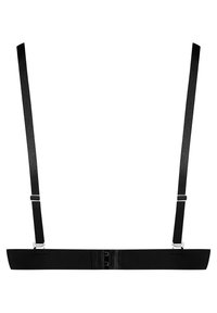 Harnais noir avec des sangles réglables. Fabriqué en tissu lisse, avec une large bande et des accessoires métalliques pour la fixation. Design minimaliste.